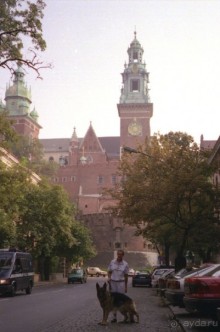 Поездка в Германию на автомобиле с немецкой овчаркой. Часть 10. Транзит Польши с заездом в Краков 