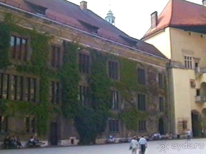 Поездка в Германию на автомобиле с немецкой овчаркой. Часть 10. Транзит Польши с заездом в Краков 