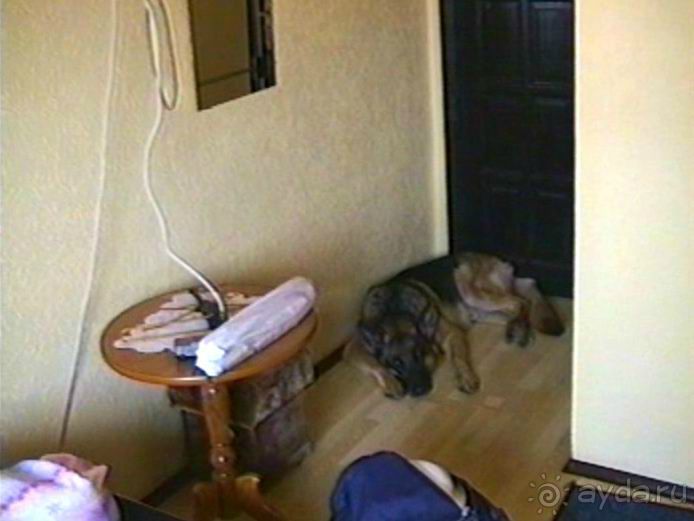 Поездка в Германию на автомобиле с немецкой овчаркой. Часть 10. Транзит Польши с заездом в Краков 