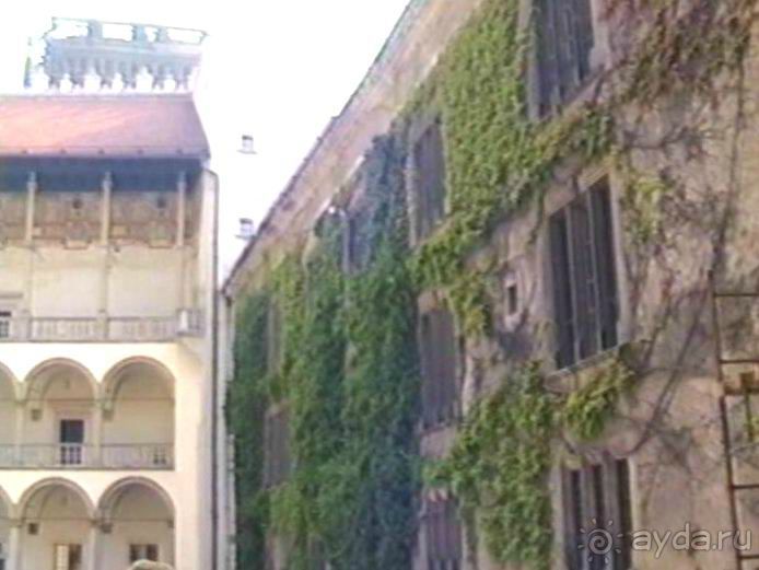 Поездка в Германию на автомобиле с немецкой овчаркой. Часть 10. Транзит Польши с заездом в Краков 