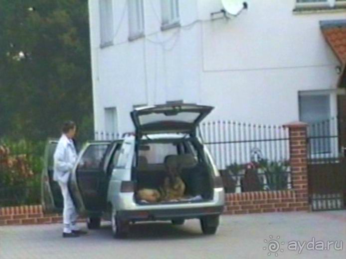 Поездка в Германию на автомобиле с немецкой овчаркой. Часть 10. Транзит Польши с заездом в Краков 