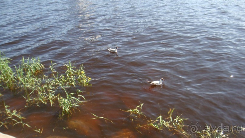 По Пскову часть 2