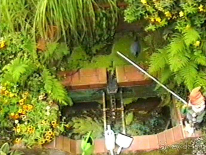 Впервые на машине в Германию с овчаркой: Поселение в Вайсенбахе недалеко от Карлсруэ