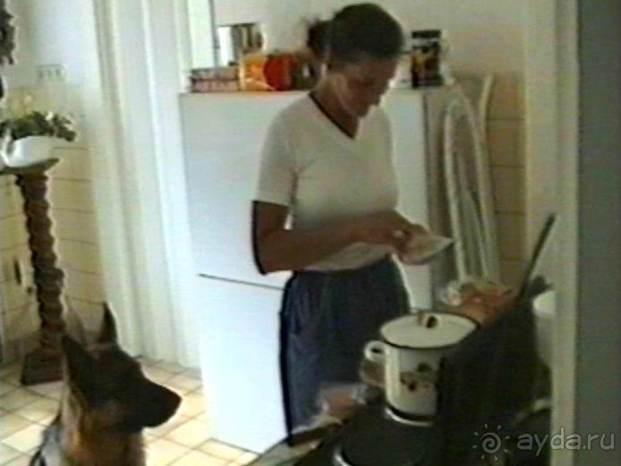 Впервые на машине в Германию с овчаркой: Поселение в Вайсенбахе недалеко от Карлсруэ