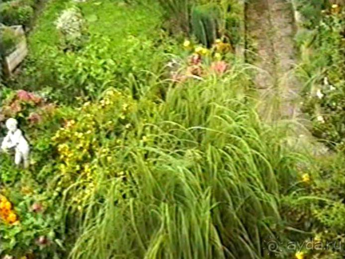 Впервые на машине в Германию с овчаркой: Поселение в Вайсенбахе недалеко от Карлсруэ