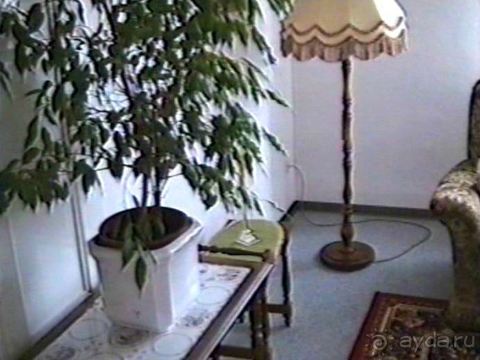 Впервые на машине в Германию с овчаркой: Поселение в Вайсенбахе недалеко от Карлсруэ