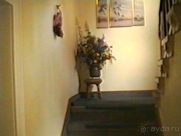 Впервые на машине в Германию с овчаркой: Поселение в Вайсенбахе недалеко от Карлсруэ