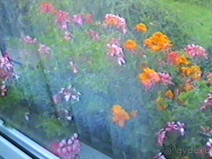 Впервые на машине в Германию с овчаркой: Поселение в Вайсенбахе недалеко от Карлсруэ