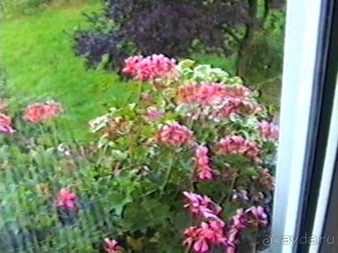 Впервые на машине в Германию с овчаркой: Поселение в Вайсенбахе недалеко от Карлсруэ