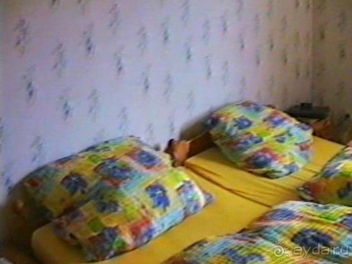 Впервые на машине в Германию с овчаркой: Поселение в Вайсенбахе недалеко от Карлсруэ