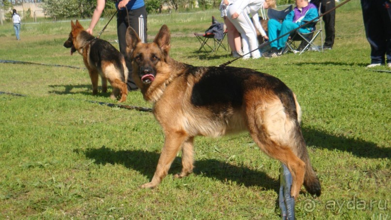 По Пскову часть 3