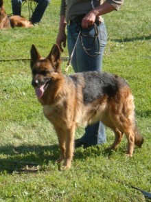 По Пскову часть 3