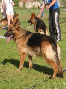 По Пскову часть 3