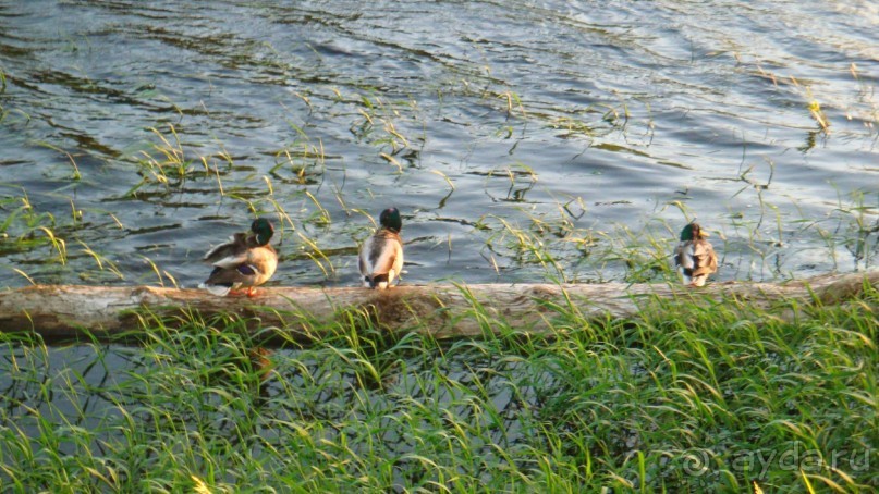 По Пскову часть 3