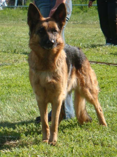 По Пскову часть 3