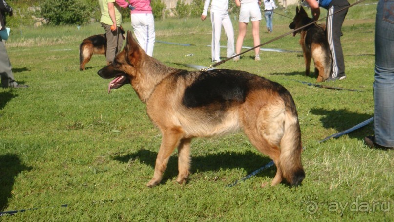 По Пскову часть 3