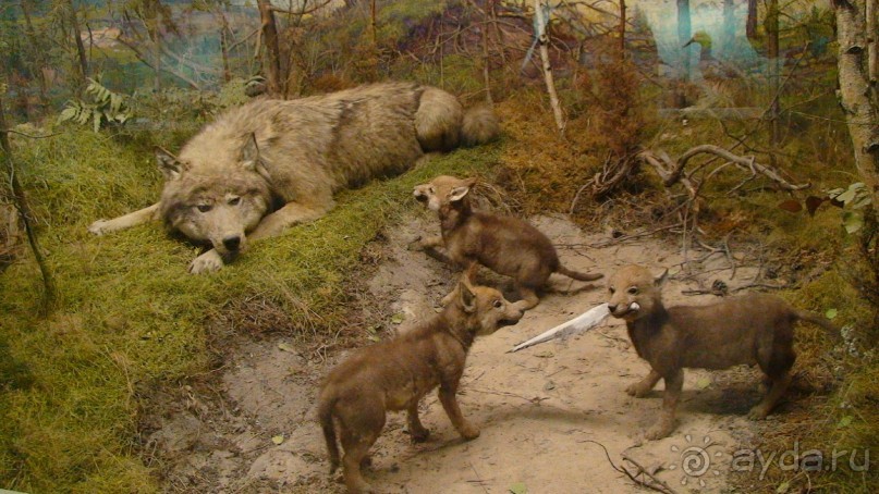 В Рязань! Часть 1