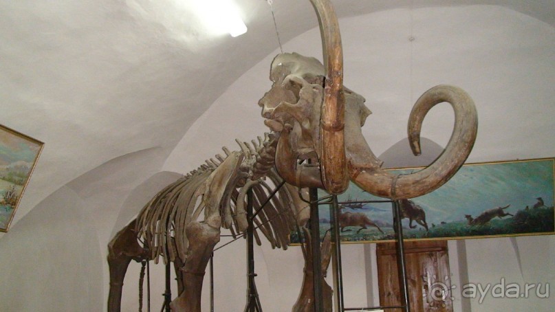 В Рязань! Часть 1