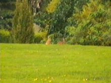 Вторая поездка в Европу на автомобиле: Брюссель и возвращение обратно без стартера