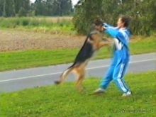 Вторая поездка в Европу на автомобиле: Брюссель и возвращение обратно без стартера