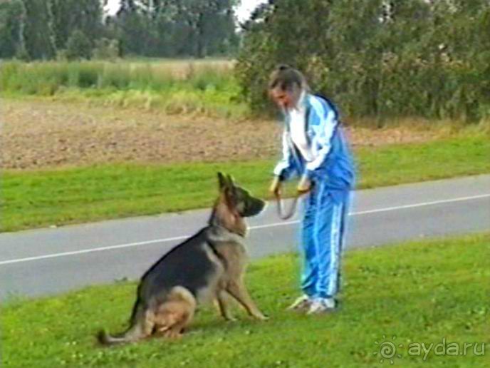 Вторая поездка в Европу на автомобиле: Брюссель и возвращение обратно без стартера