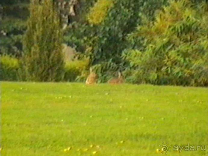 Вторая поездка в Европу на автомобиле: Брюссель и возвращение обратно без стартера