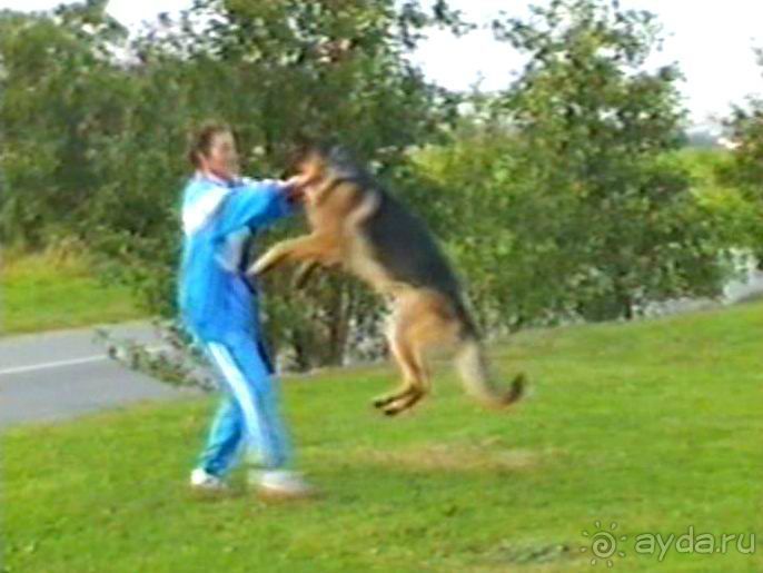 Вторая поездка в Европу на автомобиле: Брюссель и возвращение обратно без стартера