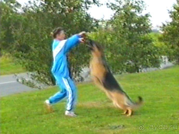 Вторая поездка в Европу на автомобиле: Брюссель и возвращение обратно без стартера