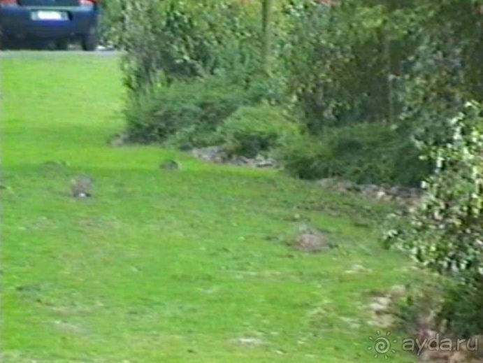 Вторая поездка в Европу на автомобиле: Брюссель и возвращение обратно без стартера