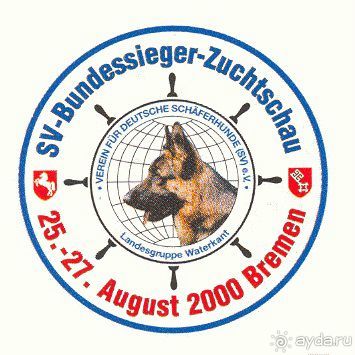 Вторая поездка в Европу на автомобиле: Брюссель и возвращение обратно без стартера