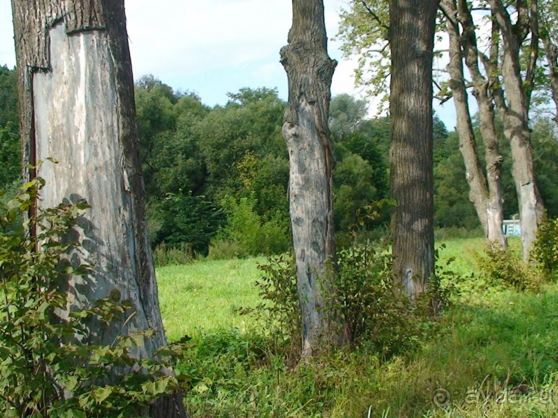 Калужская область: Боровск