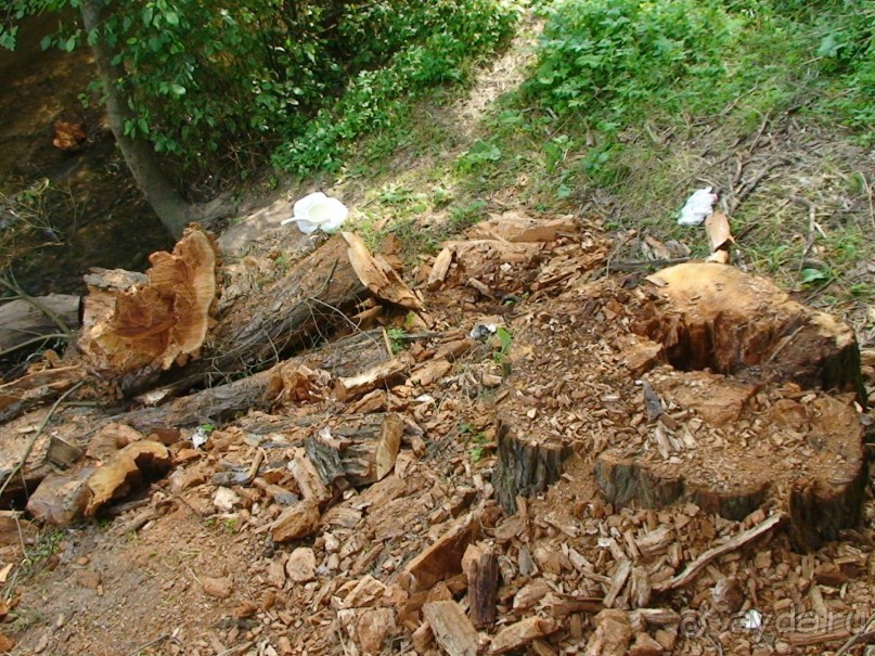 Калужская область: Боровск