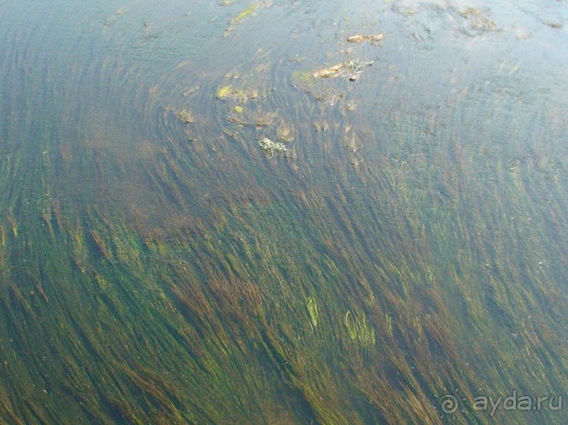 Калужская область: Боровск