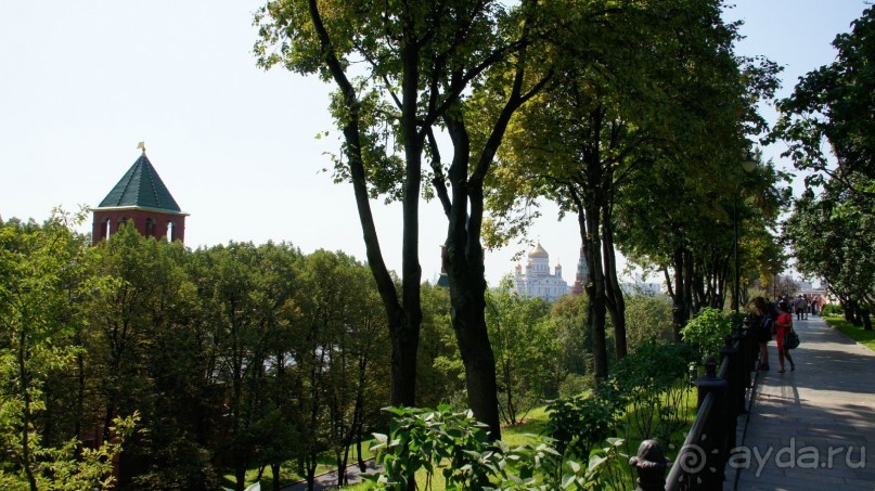 Все в Кремль!