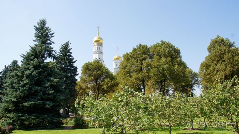 Все в Кремль!