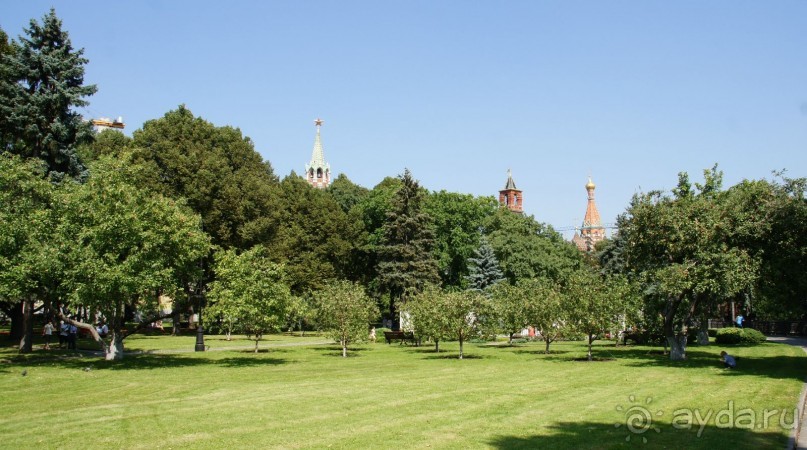 Все в Кремль!