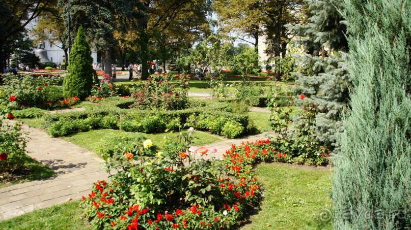 Все в Кремль!