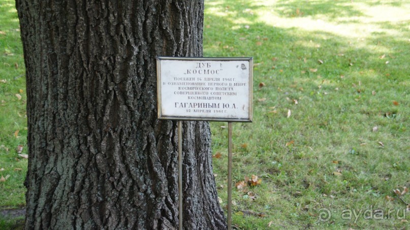 Все в Кремль!