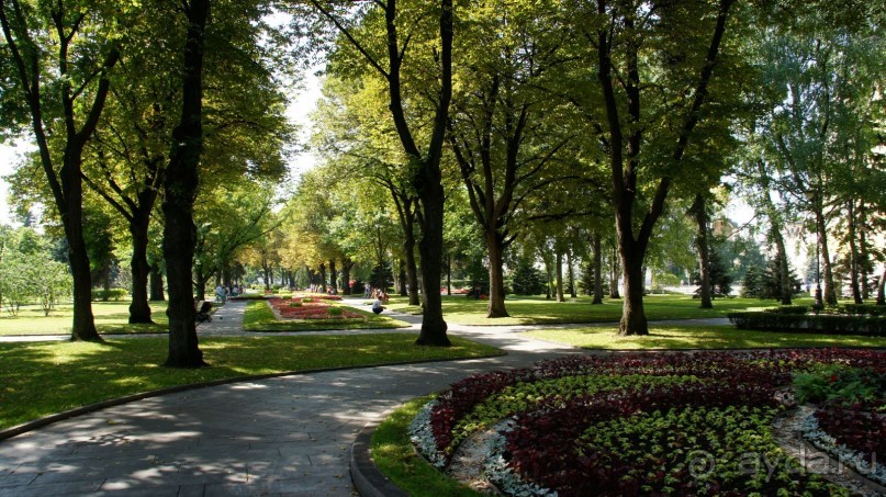 Все в Кремль!