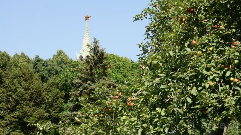 Все в Кремль!