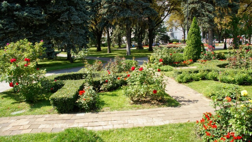 Все в Кремль!