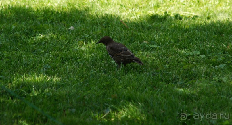 Все в Кремль!