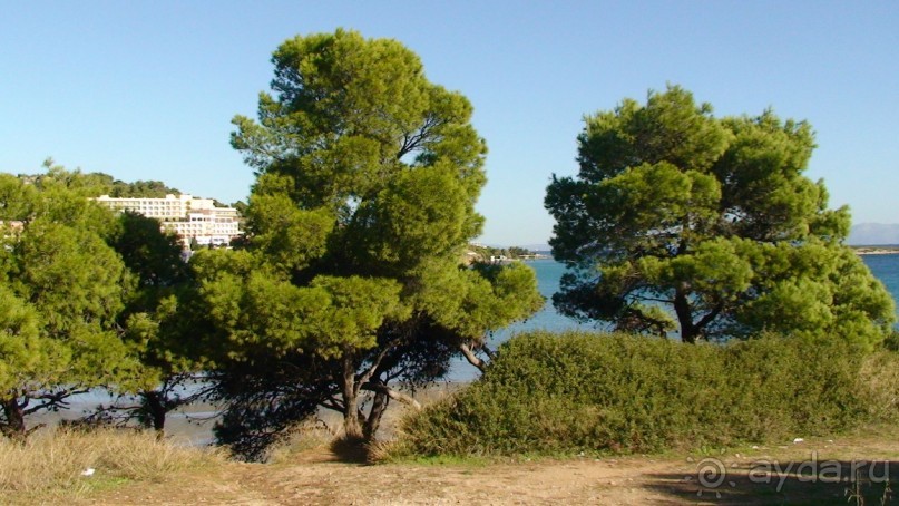 Альбом отзыва "Греция часть 19: Враврона и возвращение домой"