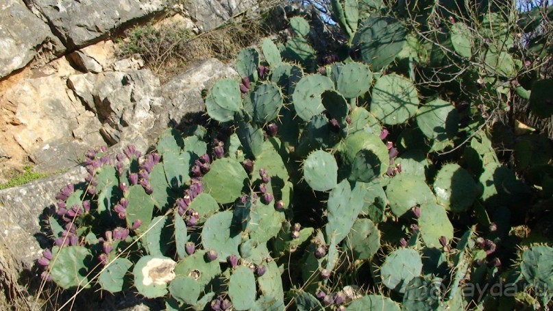 Греция часть 19: Враврона и возвращение домой