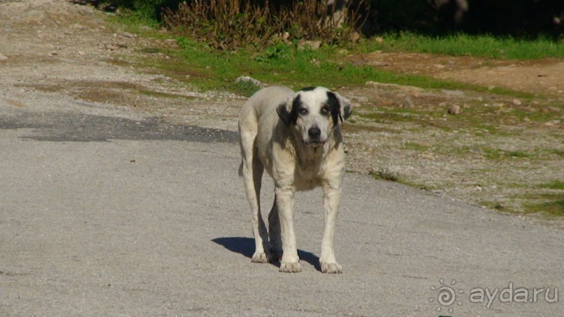 Греция часть 19: Враврона и возвращение домой