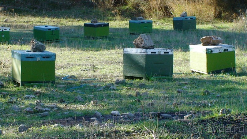 Греция часть 19: Враврона и возвращение домой