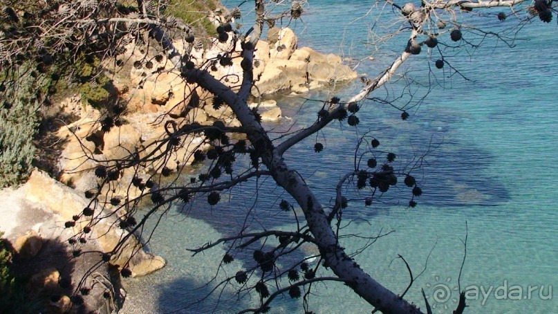 Греция часть 19: Враврона и возвращение домой