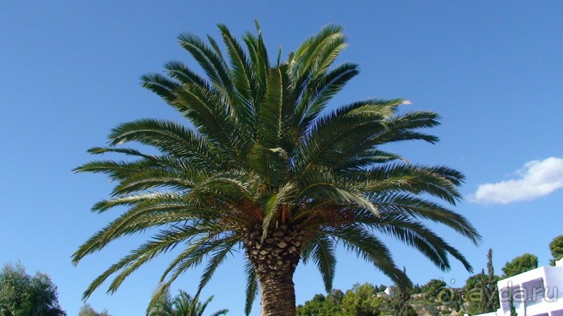 Греция часть 19: Враврона и возвращение домой