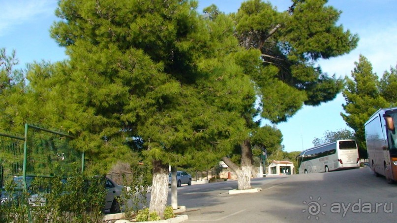 Греция часть 19: Враврона и возвращение домой