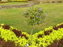 Потсдам: Сан-Суси 